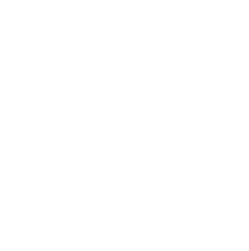 Home Icon